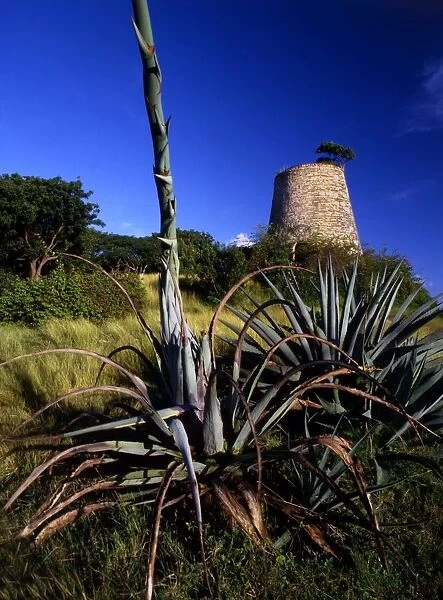 West indies Antigua ruins of a sugar factory