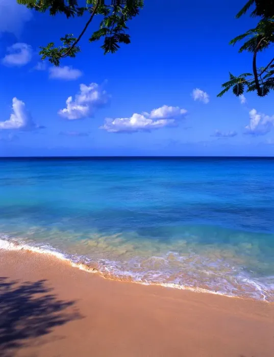 Framed Print : West Indies Barbados Framed Print : West Indies Barbados