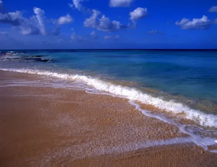Framed Print : West Indies beach scene - Barbados