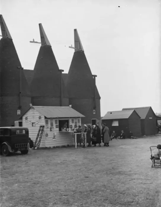 Framed Print : Whitbreads hop farm in Belting, Kent. People cueing up at the onsite milk bar Framed Print : Whitbreads hop farm in Belting, Kent. People cueing up at the onsite milk bar