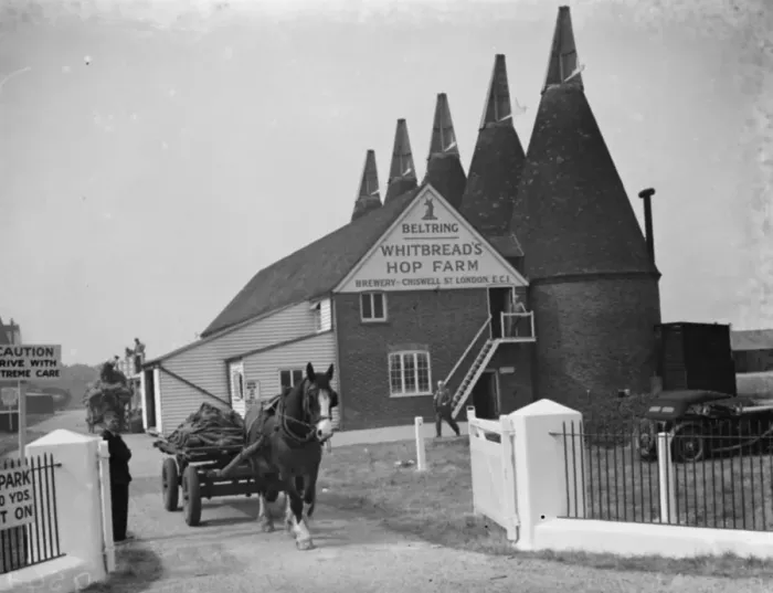 Framed Print : Whitbreads hop farm in Belting, Kent. The kilns where the hops are dried. 1938 Framed Print : Whitbreads hop farm in Belting, Kent. The kilns where the hops are dried. 1938
