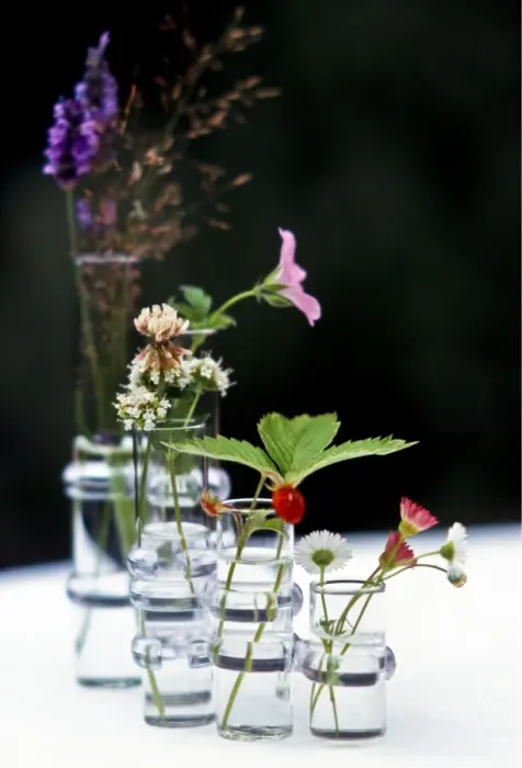 Framed Print : Wildflowers in glass vases credit: Marie-Louise Avery / thePictureKitchen / TopFoto Framed Print : Wildflowers in glass vases credit: Marie-Louise Avery / thePictureKitchen / TopFoto