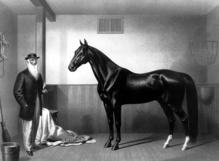 Framed Print : William Rysdyks Hambletonian 1865, Father of the Trotting Horse. His employer, Seeley