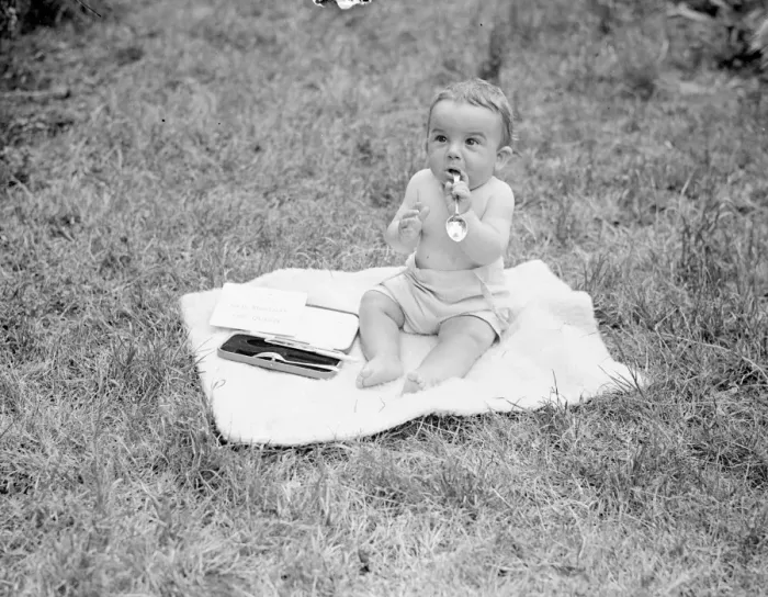 Framed Print : Windsors champion baby wings Queens prize. From a record entry of more than 200 Framed Print : Windsors champion baby wings Queens prize. From a record entry of more than 200