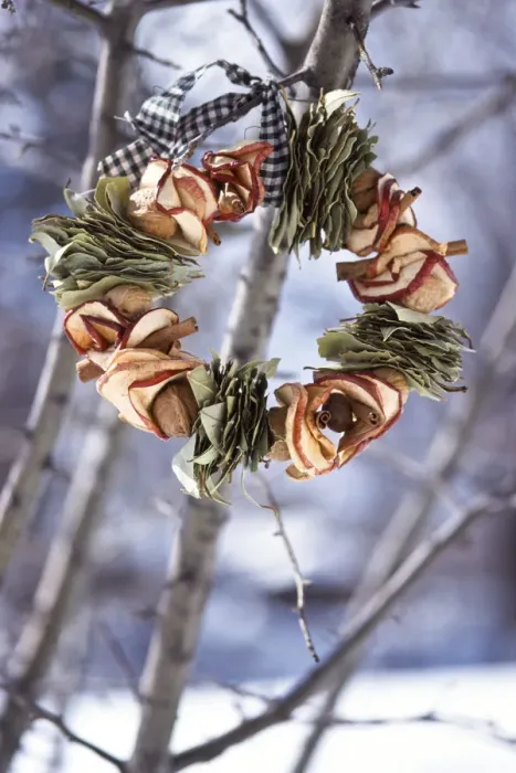 Framed Print : Winter wreath of dried apples and bay leaves and gingham ribbon, hanging outside Framed Print : Winter wreath of dried apples and bay leaves and gingham ribbon, hanging outside