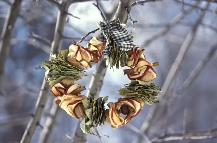 Framed Print : Winter wreath of dried apples and bay leaves and gingham ribbon, hanging outside Framed Print : Winter wreath of dried apples and bay leaves and gingham ribbon, hanging outside
