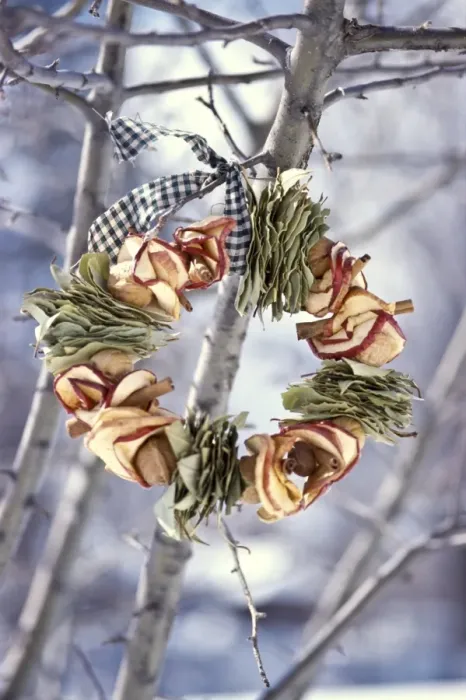 Framed Print : Winter wreath of dried apples and bay leaves and gingham ribbon, hanging outside Framed Print : Winter wreath of dried apples and bay leaves and gingham ribbon, hanging outside