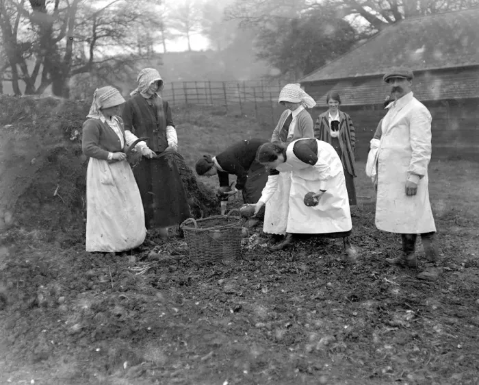 Framed Print : Women farm workers at Sparsholt, Hampshire. 1914-1918 Framed Print : Women farm workers at Sparsholt, Hampshire. 1914-1918