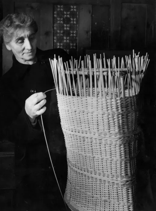 Framed Print : Womens Institute member weaving a basket in Birling Kent 1953 Framed Print : Womens Institute member weaving a basket in Birling Kent 1953