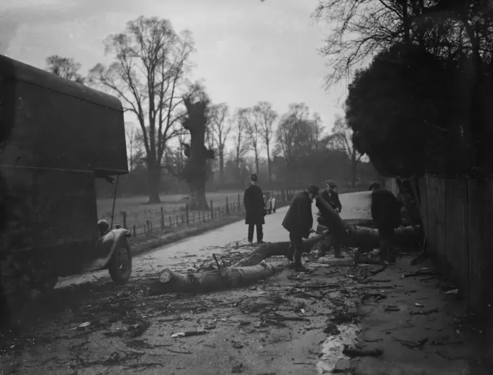 Framed Print : Workers clear a tree blown down by the gales in Crayford. 1938 Framed Print : Workers clear a tree blown down by the gales in Crayford. 1938