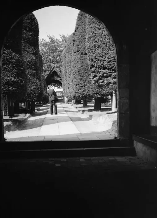 Framed Print : Yew trees, Brenchley. 1937