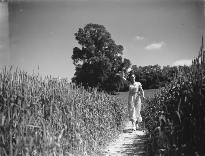 Framed Print : A young woman walks down a path in a cornfield. 1935 Framed Print : A young woman walks down a path in a cornfield. 1935