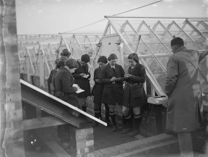 Framed Print : Young women students take notes at a glass house demonstration at the Horticultural Framed Print : Young women students take notes at a glass house demonstration at the Horticultural
