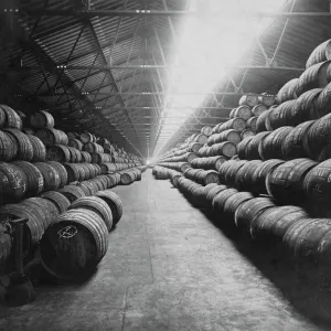 10 000 barils de rhum en stock aux docks de l'Inde occidentale, Londres, Angleterre sans date. 10 000 barils de rhum en stock aux docks de l'Inde occidentale, Londres, Angleterre sans date.