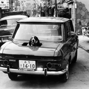Tokyo Car Print with Convertible Boot Tokyo Car Print with Convertible Boot