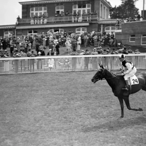 Alor Star at Goodwood Racecourse, Sussex, England. 1937 Alor Star at Goodwood Racecourse, Sussex, England. 1937