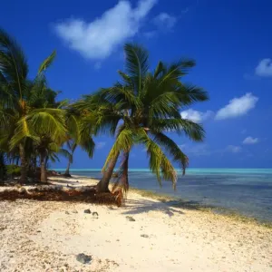 One of the atol islands of the Lakshadweep Islands [Indian Ocean], near Bangaram