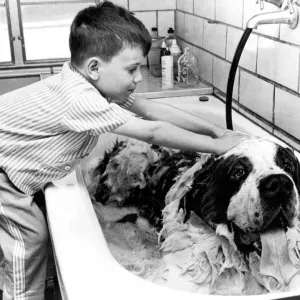 Bathing Von Bruno St Bernard Print 1963 Bathing Von Bruno St Bernard Print 1963