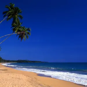 Beach near Welligama, on the west coast of Sri Lanka Beach near Welligama, on the west coast of Sri Lanka