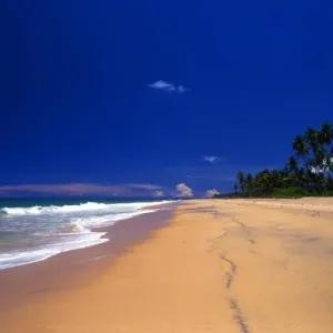 Sri Lanka Beach Print Sri Lanka Beach Print