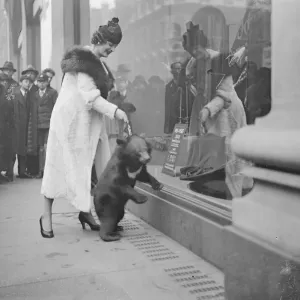 Bear goes shopping in Oxford Street. 16 November 1934 Bear goes shopping in Oxford Street. 16 November 1934