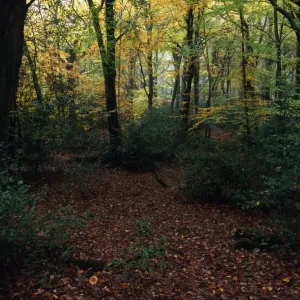 19 Nov 2001