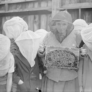 A beekeeping class is an innovation at Wood Lane, Shepherds Bush, London open-air school