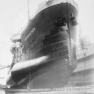 Not a Blister Ship Print Not a Blister Ship Print