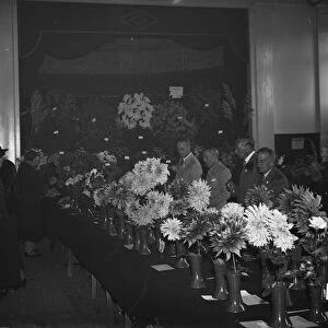 Blooms on show at the Orpington Horticultural Show. 1937