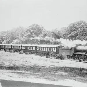 The Bournemouth Belle Luxury Train Print, New Forest 7 July 1931