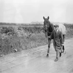 Brownhylda The racehorse. 3 June 1924 Brownhylda The racehorse. 3 June 1924