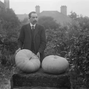 Buckingham Palace Messenger's Giant Pumpkin Print Buckingham Palace Messenger's Giant Pumpkin Print