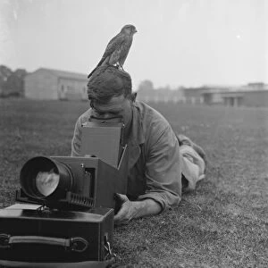 A cameraman takes photos while a kestrel sits waiting. 24 August 1937