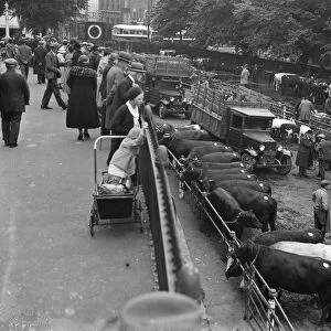 Canterbury market. 1936