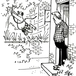 Cartoon by Sax When next doors garden becomes a jungle Cartoon by Sax When next doors garden becomes a jungle