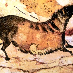 Cave Art - Lascaux - Prehistoric cave painting of running horse, from the cave system