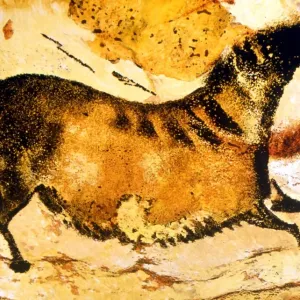 Prehistoric Horse Print Prehistoric Horse Print