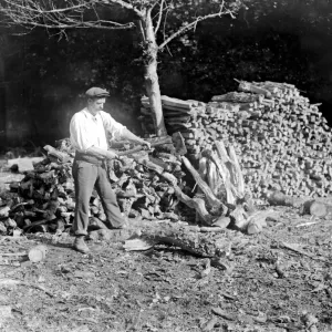 Charcoal burning for the trenches in the New Forest Charcoal burning for the trenches in the New Forest