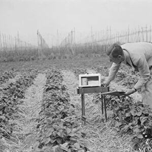 Checking measuring equipment at the East Malling Research Station in Kent. 2 June 1937