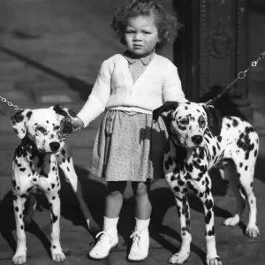 Print of a Child with Dalmatians Print of a Child with Dalmatians