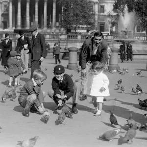 Children feeding the pigeons in Trafalgar Square with the columns of the National