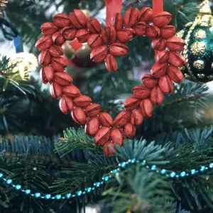 Christmas tee decoration of heart made of pistachio nuts painted red, hanging in