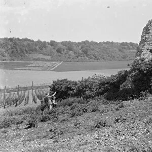 The church ruins at Knatts Valley, Maplescombe, Kent. 1935