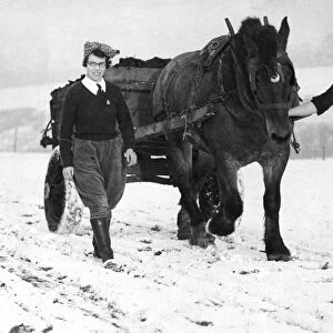 Cold Work for Land Girls Two land girls on a farm at Hartley Kent muck carting across