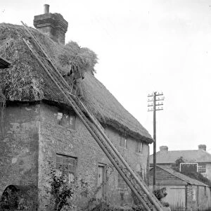The craft of thatching - The thatcher at work on a picturesque Cottage at Amberley, Sussex