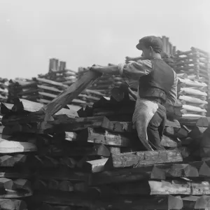 Cricket Bat Making at John Wisdens Stacks of selected willow logs to be made Cricket Bat Making at John Wisdens Stacks of selected willow logs to be made