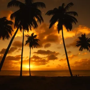 Darkwood Beach at sunset, in Antigua, West Indies Darkwood Beach at sunset, in Antigua, West Indies