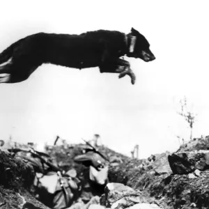 Print of a Dog Leaping a Trench in WWI Print of a Dog Leaping a Trench in WWI