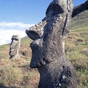 EASTER ISLAND - One of the upright giant statues near the ancient volcanic quarry