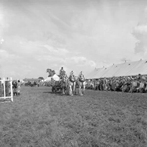 The Edenbridge and Oxted Show - 2 August 1960 The heavy turnout of Messrs. Fremlins Ltd